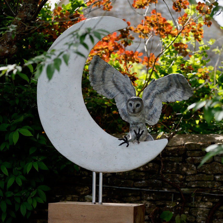 FAS211 THE OWL JUMPED OVER THE MOON