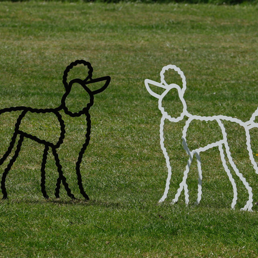 FAS038 POODLE