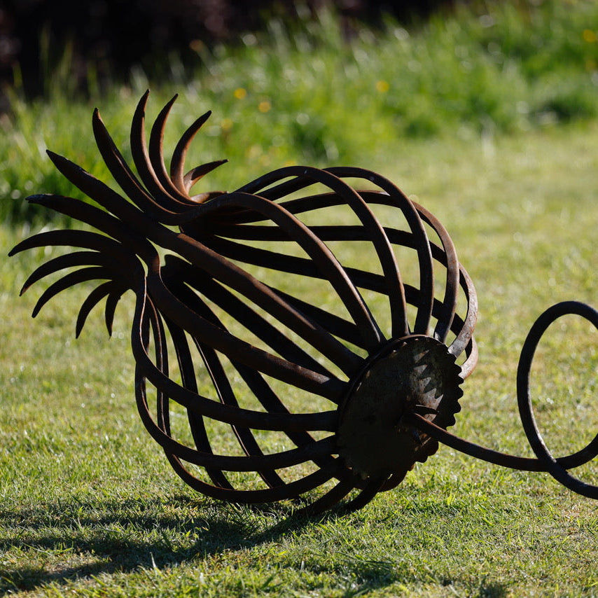FAS222 LARGE SEED HEAD