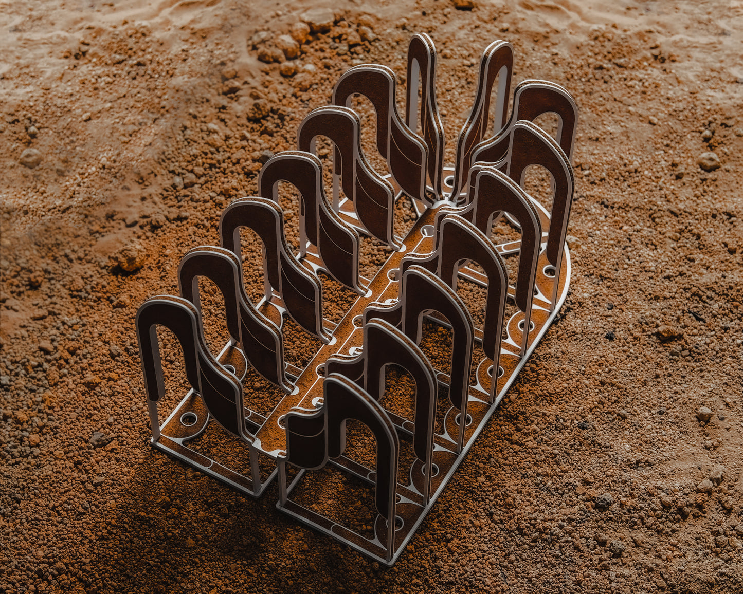 FAS156 Pamela Poh Sin Tan Specimen II