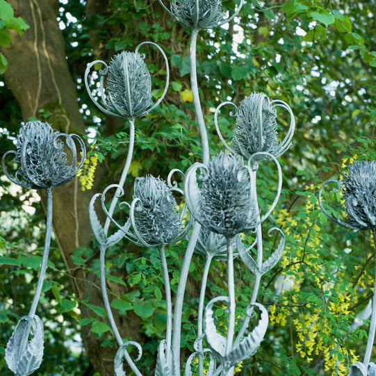 FAS126 TEASEL SCULPTURE
