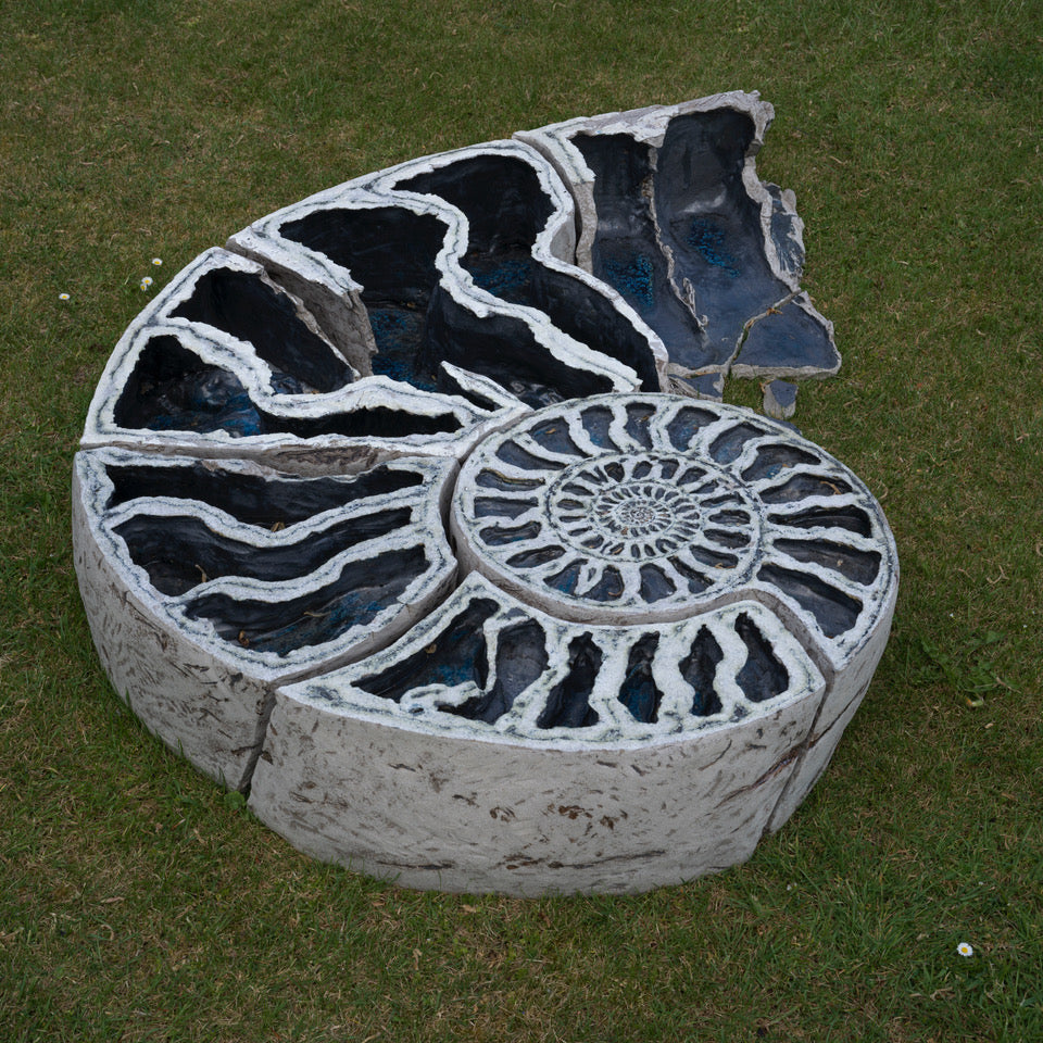 FAS242 WHAT REMAINS