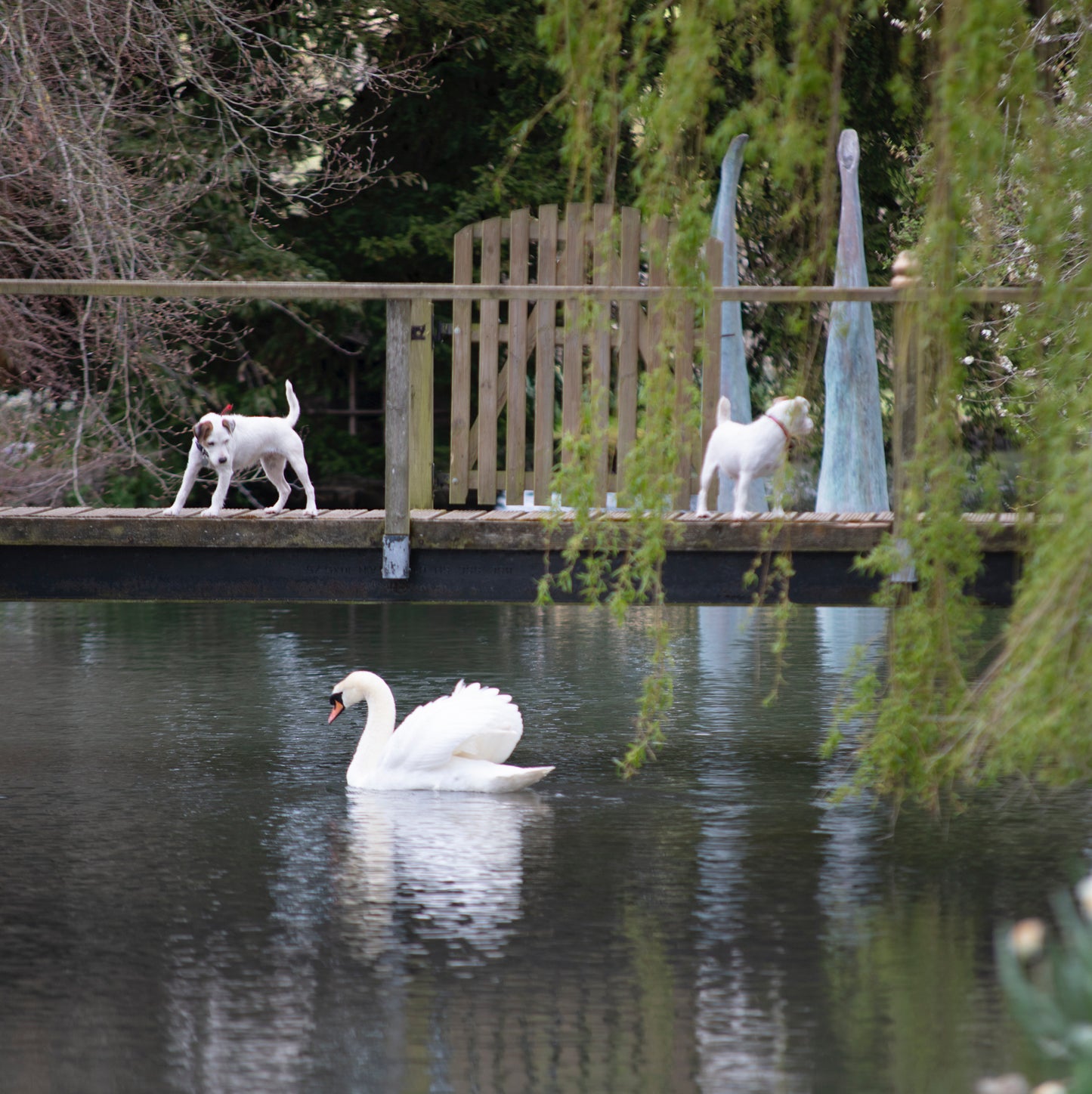 ENT3 Season Gate Ticket £20.00