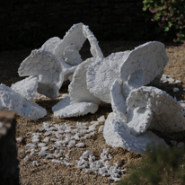 FAS042 Sally De Courcy MRSS Our Planet