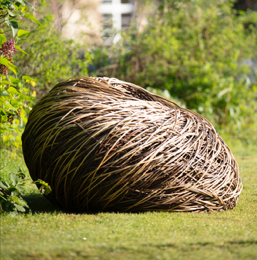 FAS048 Susan Early Willow Pod