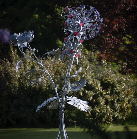 FAS135 Jenny Pickford Supernature