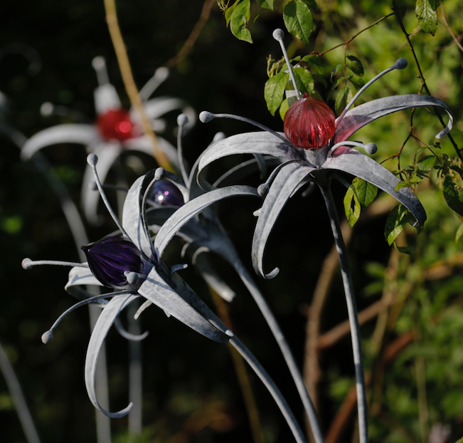 FAS136 Jenny Pickford Wild flowers