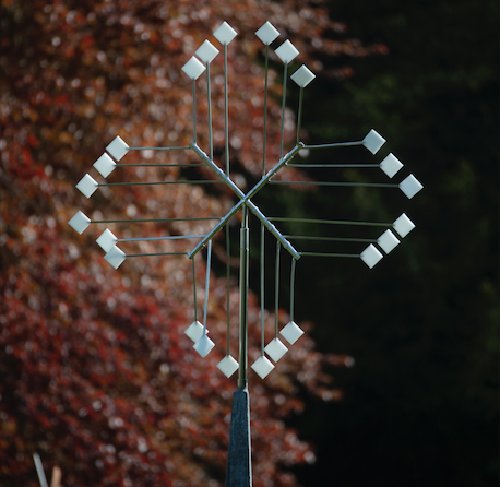 FAS166 David Watkinson Blossom