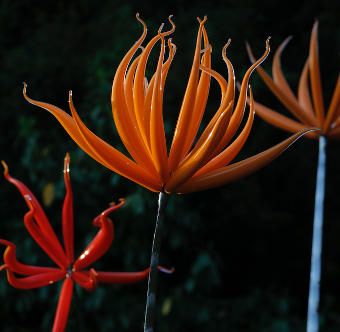 FAS171 Neil Wilkin Colourcatcher 1-5