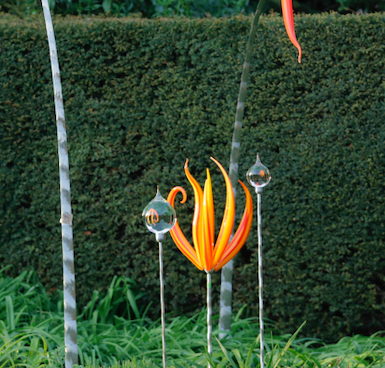 FAS172 Neil Wilkin Colourcatcher 6,7