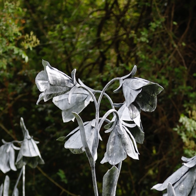 FAS061 HAREBELL III