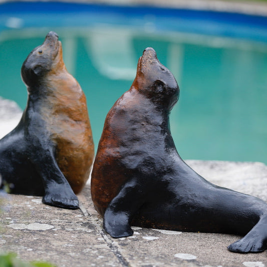 FAS039 SEA LION