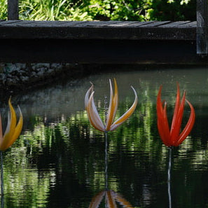 FAS233 COLOUR CATCHER TULIPS, YELLOW-SALMON-WHITE AND RED WITH YELLOW STRIPE