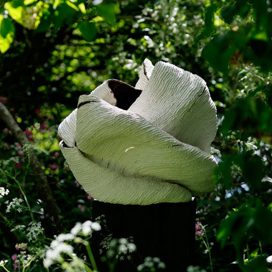 FAS047 ENVELOPING NATURE
