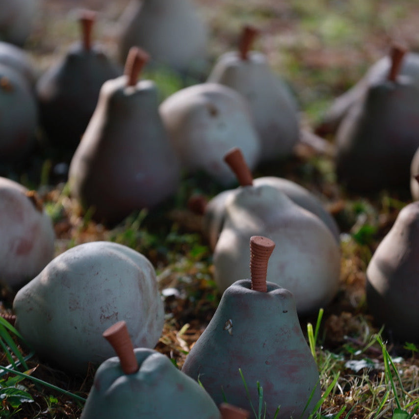FAS241 PEARS
