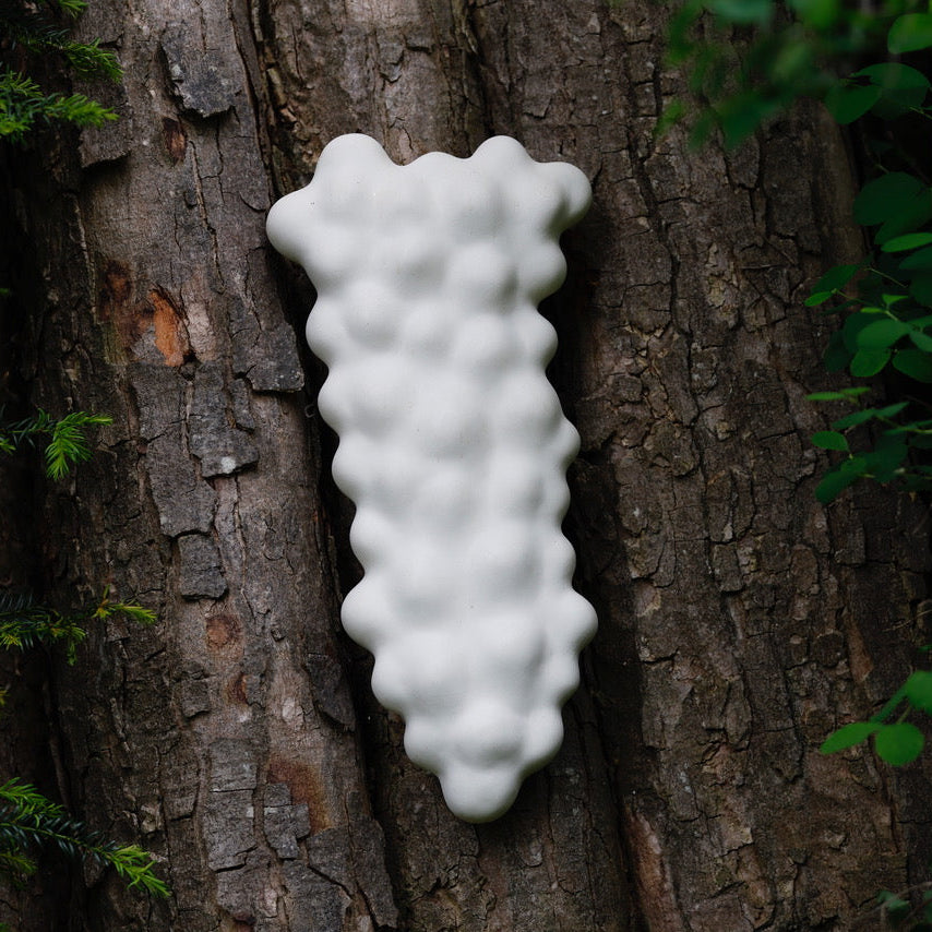FAS001 CASCADE