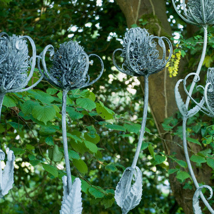 FAS125 SINGLE TEASEL balance