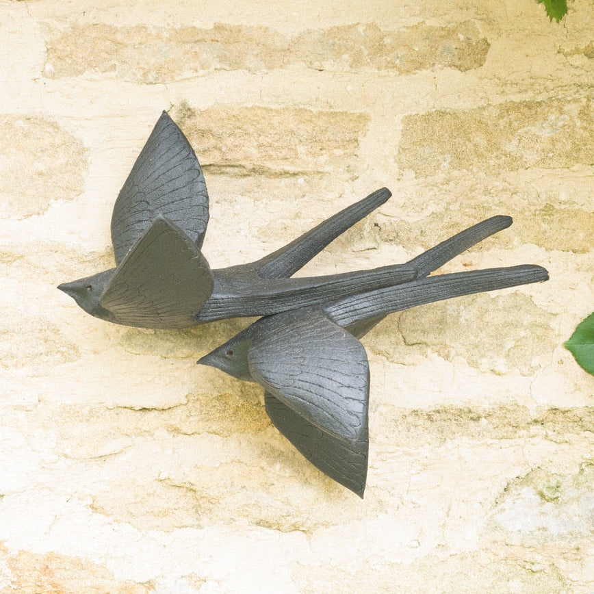 FAS049 SWALLOWS IN FLIGHT