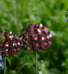 FAS102 Ruth Moilliet MRSS Hydrangea Stem