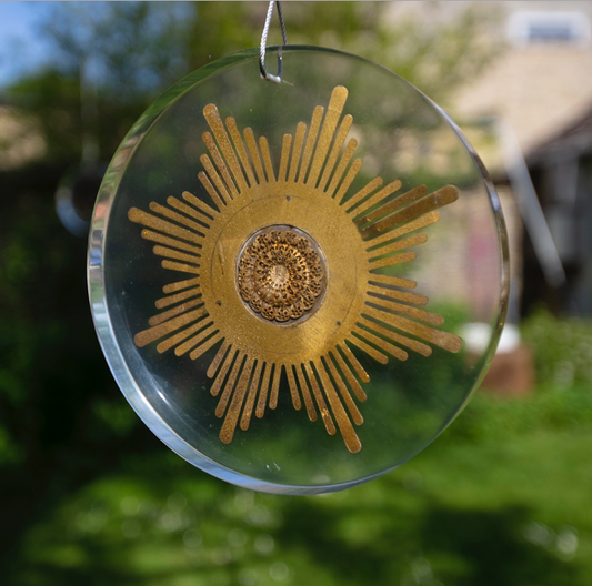 FAS097 Sophie Marsham Perspex Flowers Large