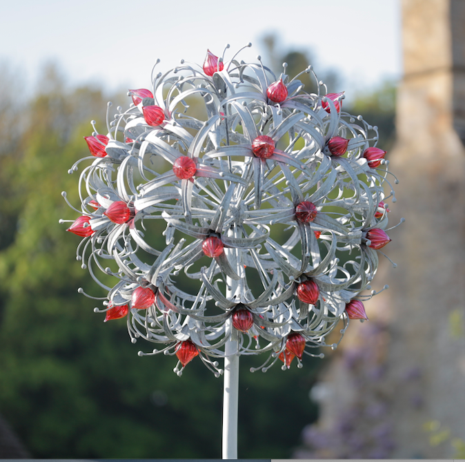 FAS133 Jenny Pickford Allium